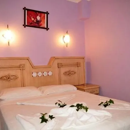 Отель Anerissa